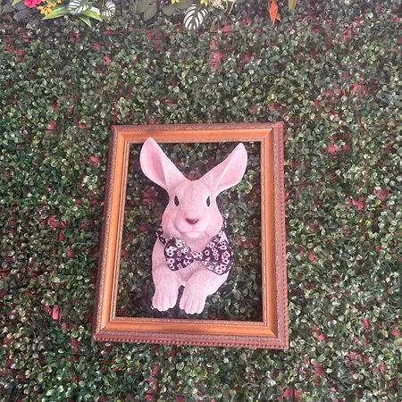 Ello Alice Secret Garden In Pau